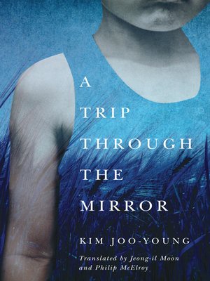 cover image of A Trip Through the Mirror